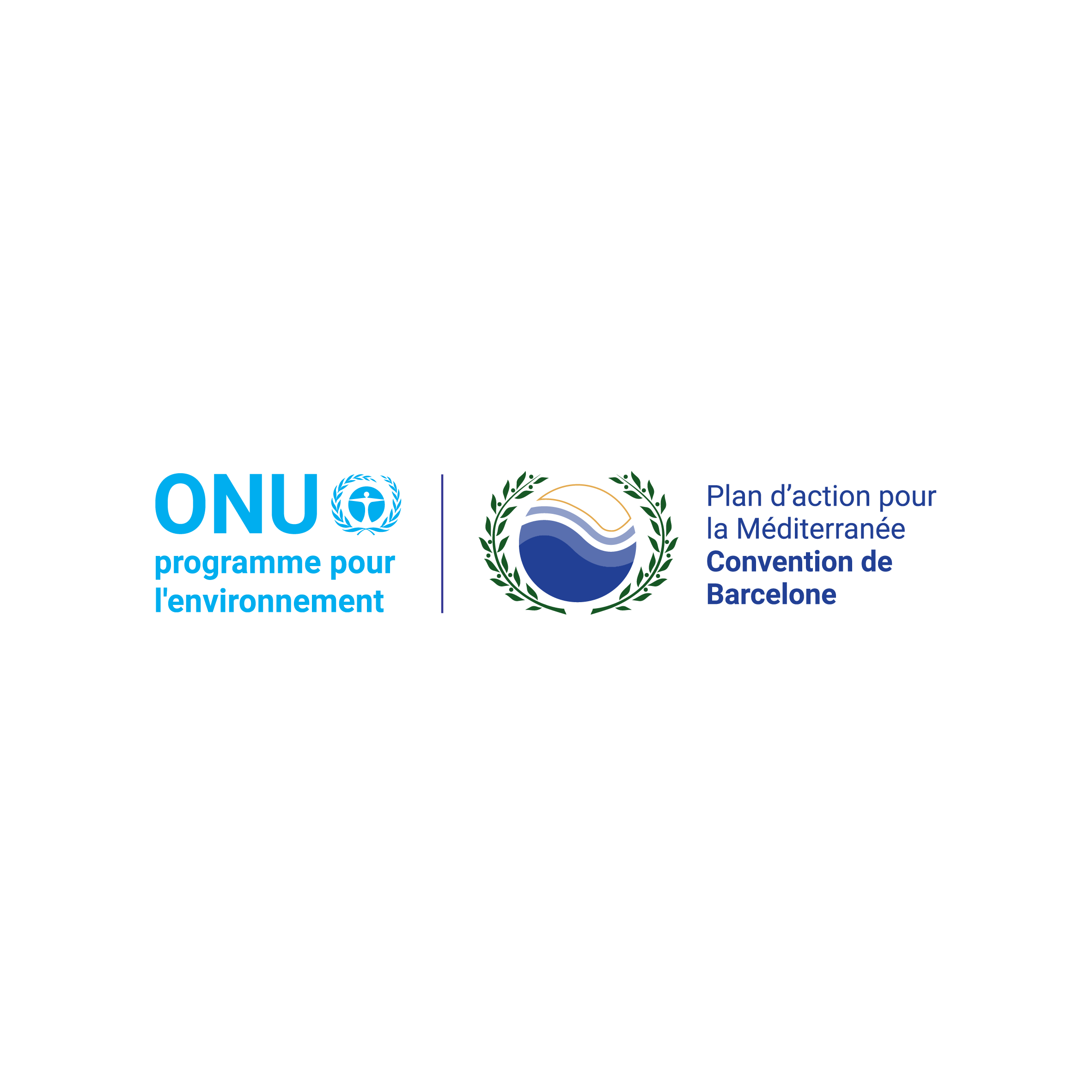 Programme des Nations Unies pour l'Environnement/Plan d'Action pour la Méditerranée (PNUE/PAM)